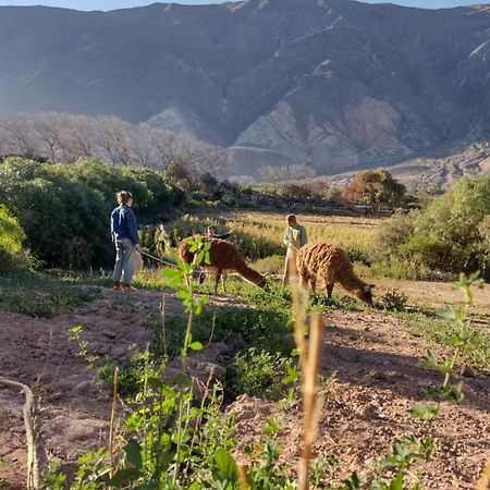Dormir Con Llamas Maimará Dış mekan fotoğraf
