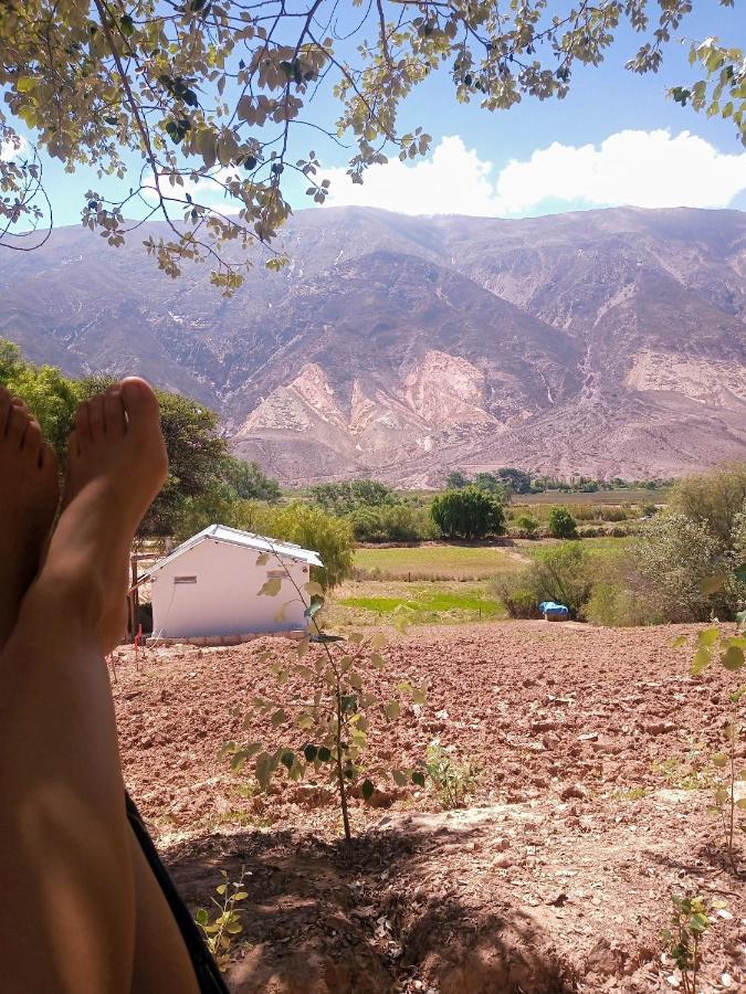 Dormir Con Llamas Maimará Dış mekan fotoğraf