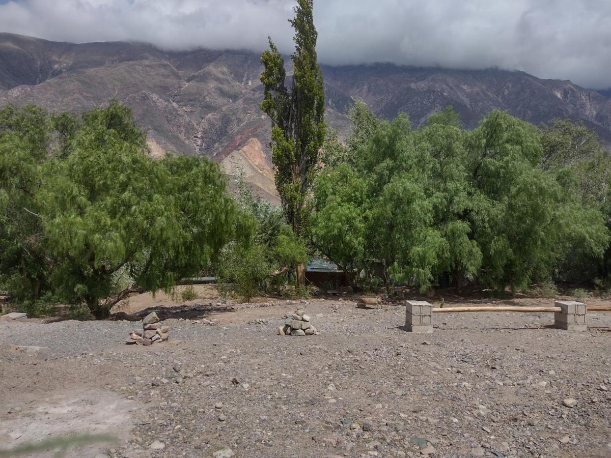 Dormir Con Llamas Maimará Dış mekan fotoğraf