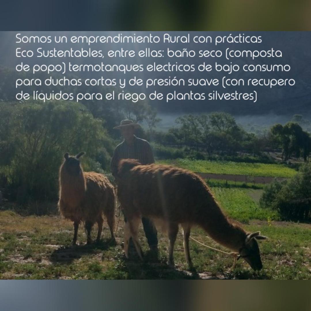 Dormir Con Llamas Maimará Dış mekan fotoğraf
